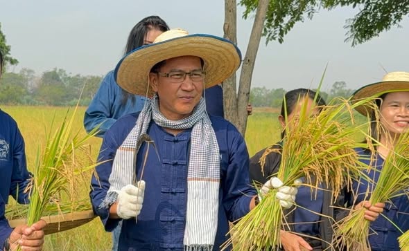 ยโสธรลงแขกเกี่ยวข้าวแห่งภักดี เตรียมส่งมอบ 1,000 กิโลกรัม เติมเต็มมื้ออาหารเปี่ยมสุขให้นักเรียนราชประชานุเคราะห์ 28