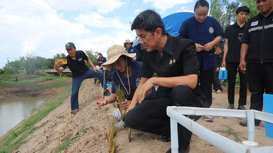 ยโสธรเดินหน้าสืบสานพระราชดำริ เปิดโครงการปลูกหญ้าแฝก ปี 69 พลิกฟื้นดินทำกิน ป้องกันหน้าดินพังทลายอย่างยั่งยืน